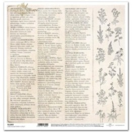 scrapbookpapier SL1043