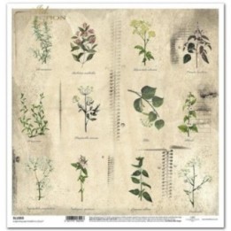 scrapbookpapier SL1033