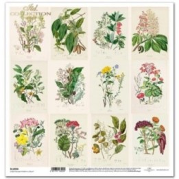 scrapbookpapier SL1034