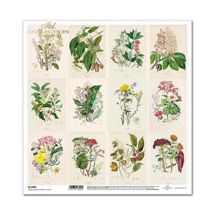 scrapbookpapier SL1034