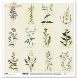 scrapbookpapier SL1035