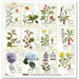 scrapbookpapier SL1036