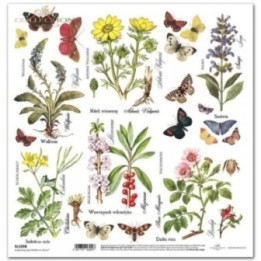 scrapbookpapier SL1038