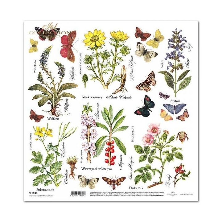 scrapbookpapier SL1038