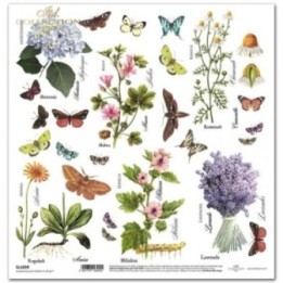 scrapbookpapier SL1039