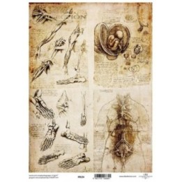 Translucent scrapbookingpapier P0124