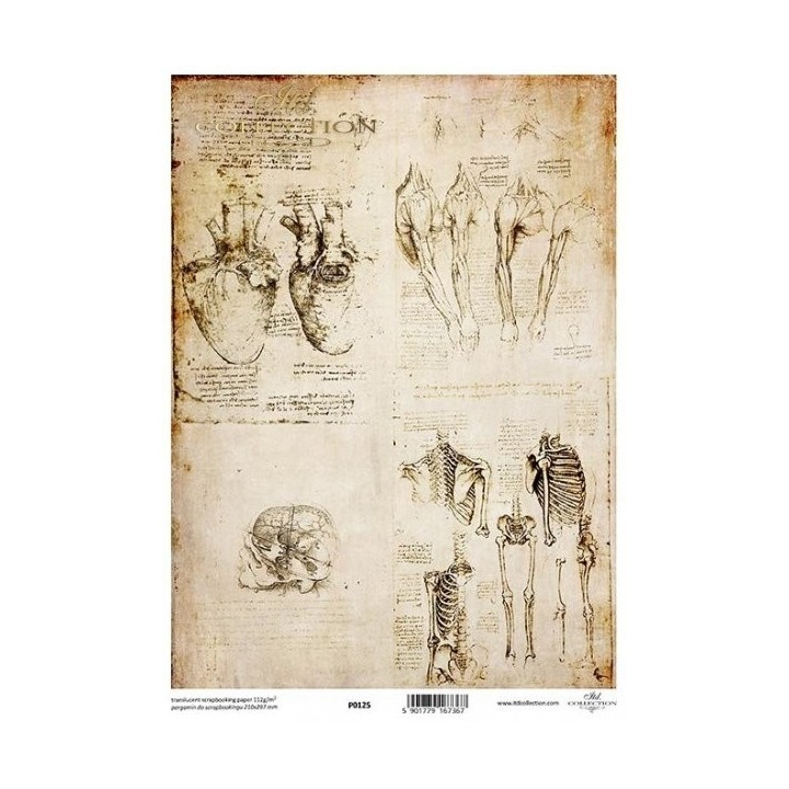 Translucent scrapbookpapier P0125