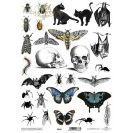 Translucent scrapbookingpapier P0126