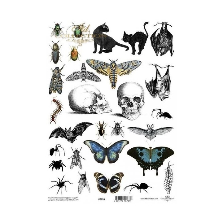 Translucent scrapbookingpapier P0126