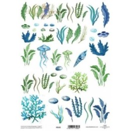 Translucent scrapbookingpapier P0143