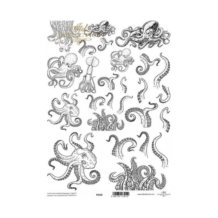 Translucent scrapbookingpapier P0146