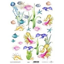 Translucent scrapbookingpapier P0147