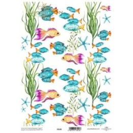 Translucent scrapbookingpapier P0148