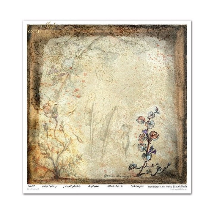 Scrapbookingpapier SLS-049 ''Herbarium 2''