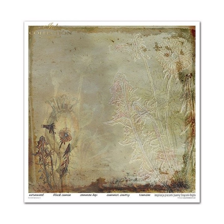 Scrapbookingpapier SLS-049 ''Herbarium 2''