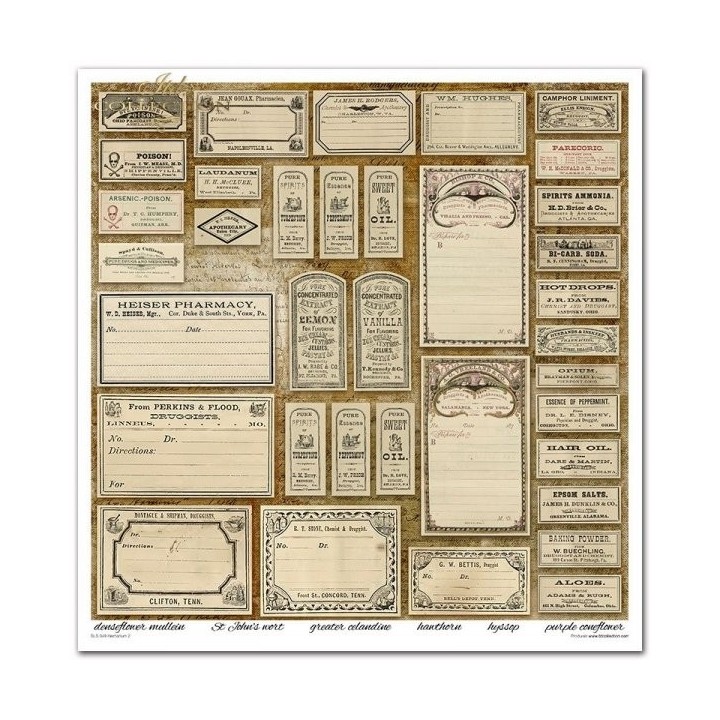 Scrapbookingpapier SLS-049 ''Herbarium 2''