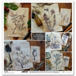 scrapbookpapier SL1170