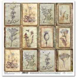 scrapbookpapier SL1171