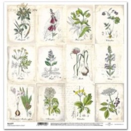scrapbookpapier SL1177