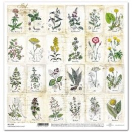scrapbookpapier SL1178