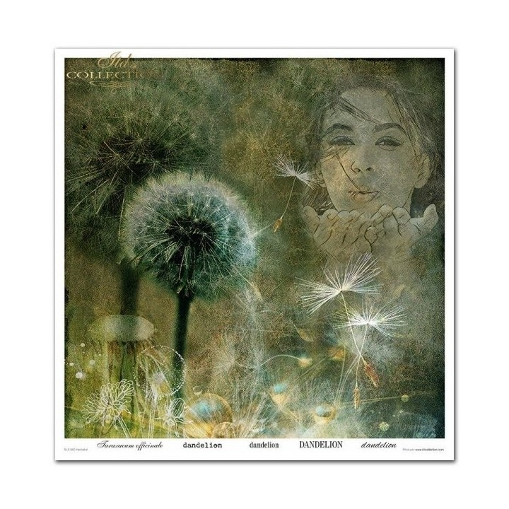 Scrapbookingpapier SLS-050 ''Kruidenexpert''