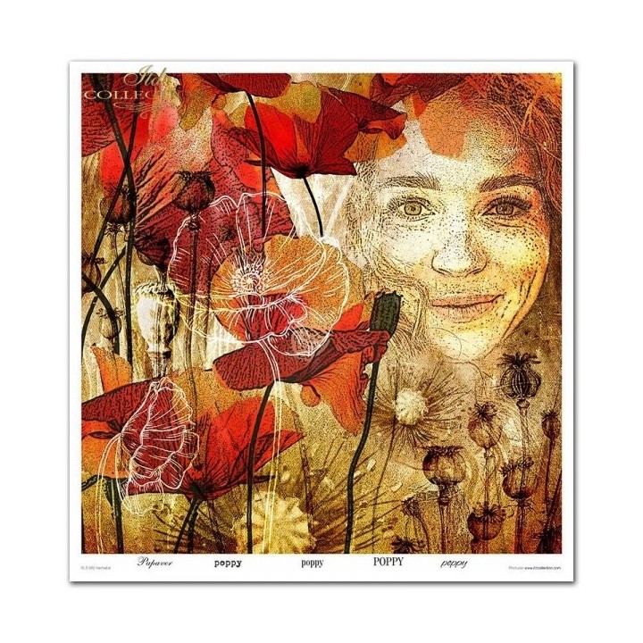 Scrapbookingpapier SLS-050 ''Kruidenexpert''