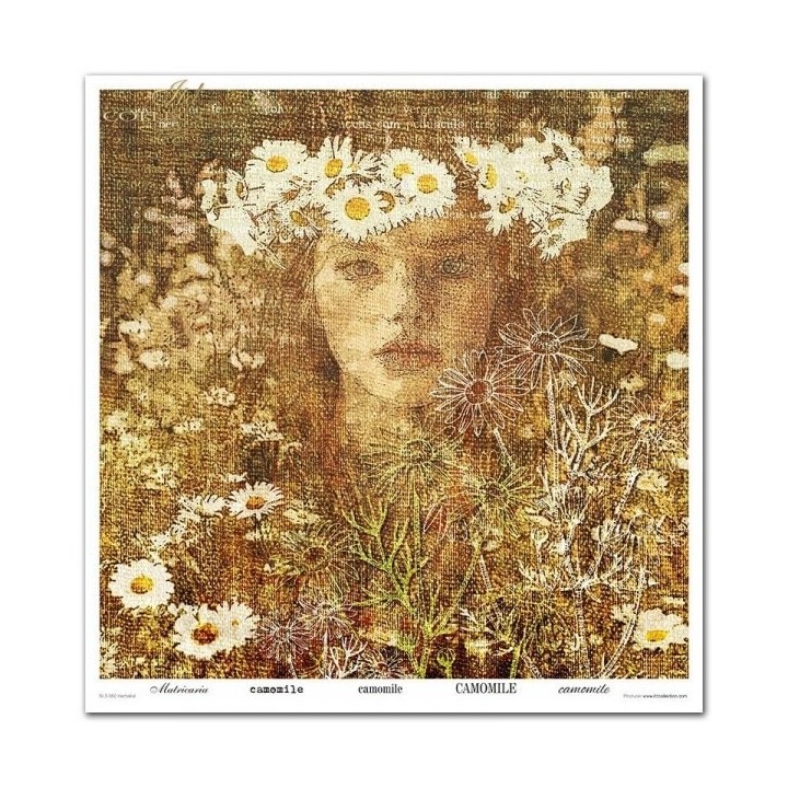 Scrapbookingpapier SLS-050 ''Kruidenexpert''
