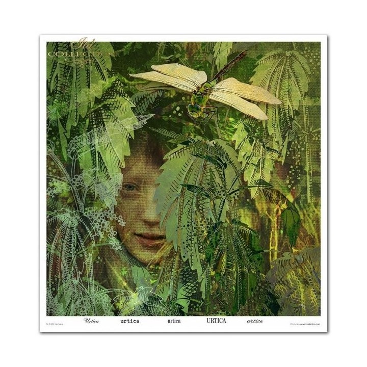Scrapbookingpapier SLS-050 ''Kruidenexpert''