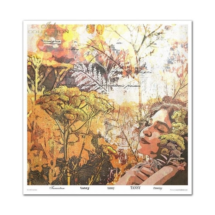 Scrapbookingpapier SLS-050 ''Kruidenexpert''