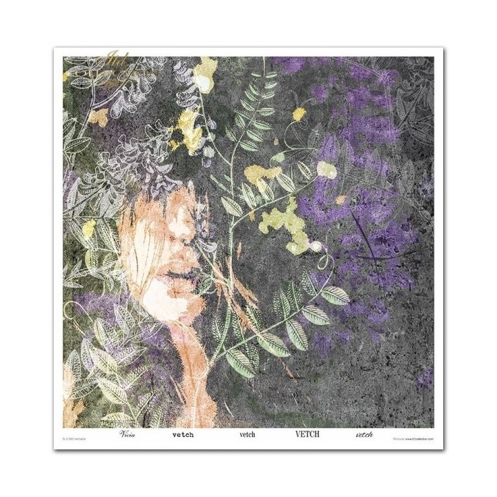 Scrapbookingpapier SLS-050 ''Kruidenexpert''