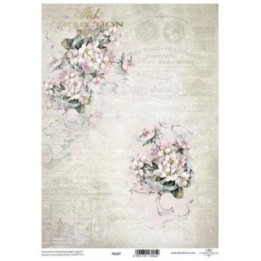 Translucent scrapbookingpapier P0187
