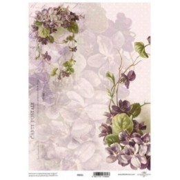 Translucent scrapbookingpapier P0211