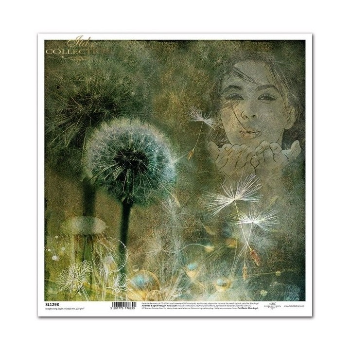 scrapbookpapier SL1298