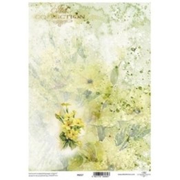 Translucent scrapbookingpapier P0217