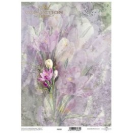 Translucent scrapbookingpapier P0218