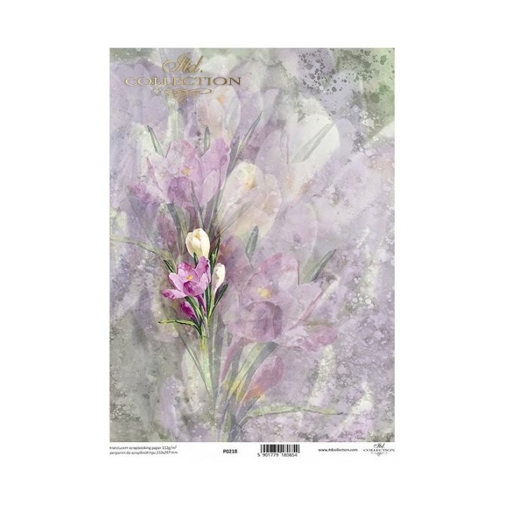 Translucent scrapbookingpapier P0218