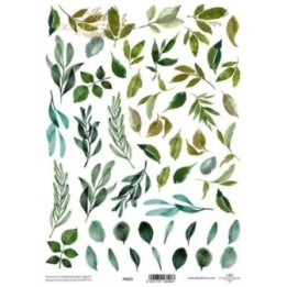 Translucent scrapbookingpapier P0223