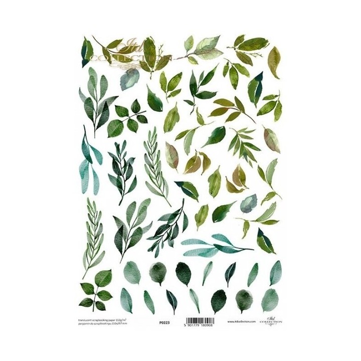 Translucent scrapbookingpapier P0223