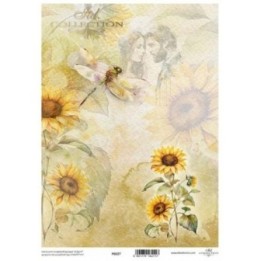 Translucent scrapbookingpapier P0227
