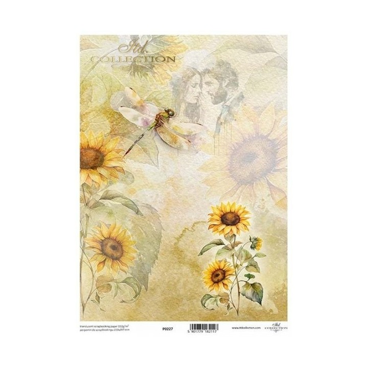 Translucent scrapbookingpapier P0227