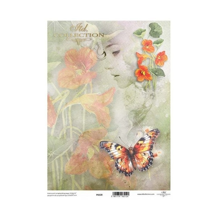 Translucent scrapbookingpapier P0228