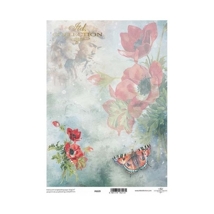 Translucent scrapbookingpapier P0229