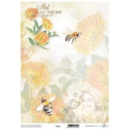 Translucent scrapbookpapier P0230