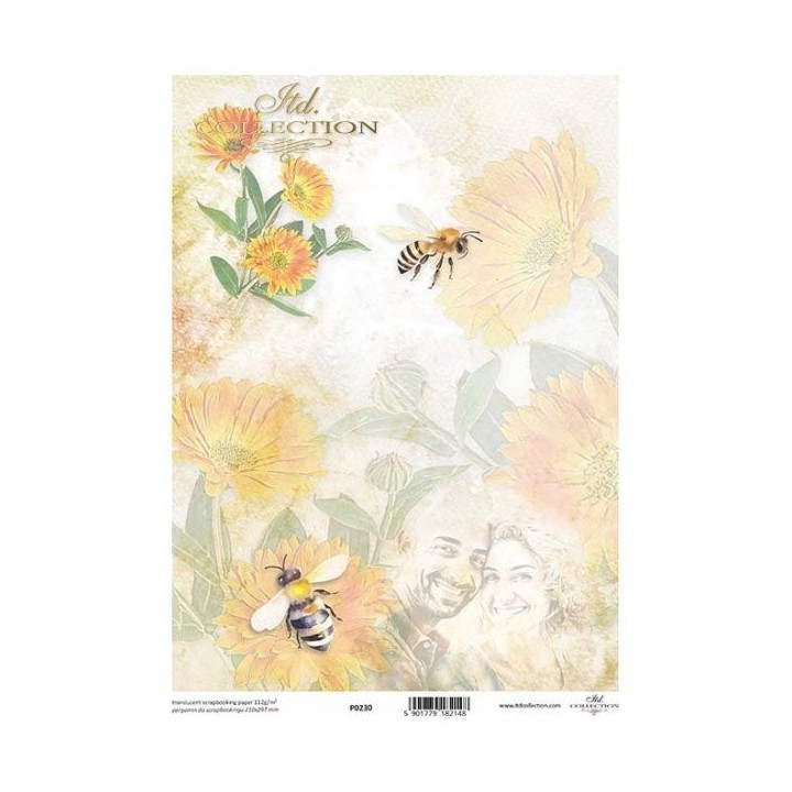 Translucent scrapbookpapier P0230