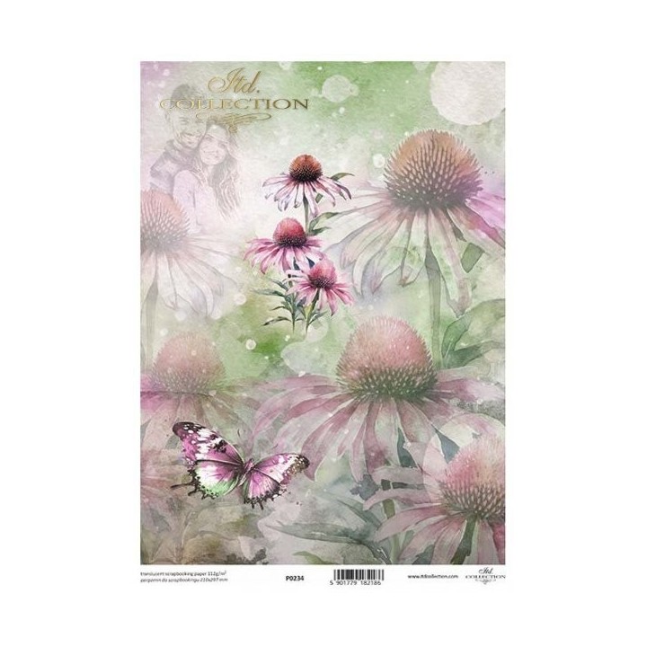 Translucent scrapbookingpapier P0234