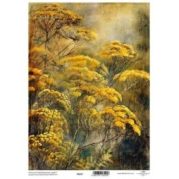 Translucent scrapbookingpapier P0237