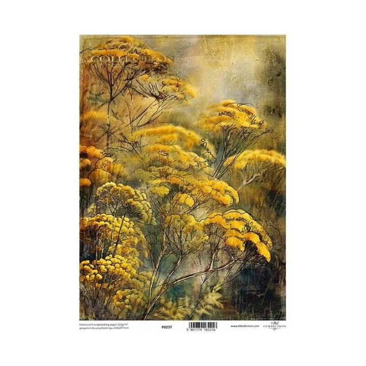 Translucent scrapbookingpapier P0237