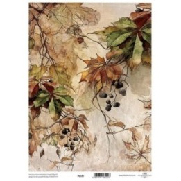 Translucent scrapbookpapier P0238