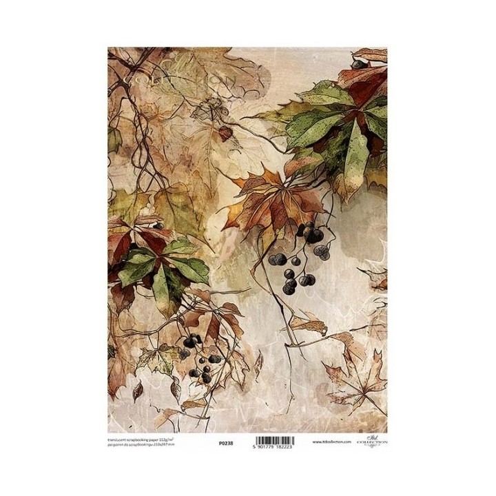 Translucent scrapbookpapier P0238