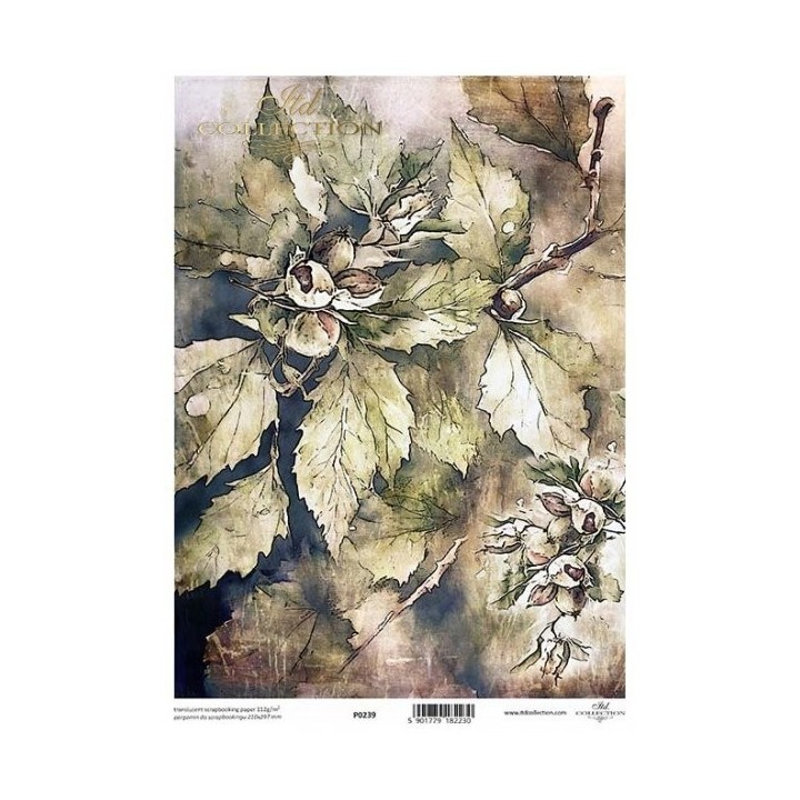 Translucent scrapbookingpapier P0239